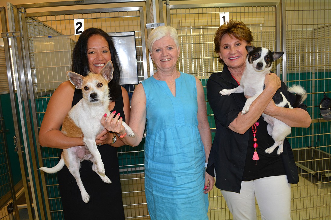 Humane Society at Lakewood Ranch Board member Rebekah Boudrie, board president Deanna Murchie and board member Susan Giroux, with rescues Dawson (left) and Burt (right) are excited about the opportunity to expand the organization.