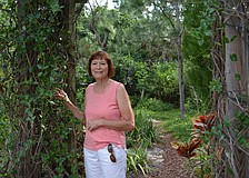 Norma Kisida has received the Florida Backyard Wildlife Habitat Program'     s certification.