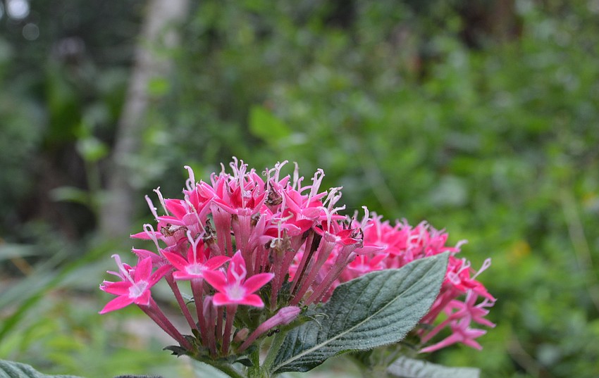 Color explodes at every turn.