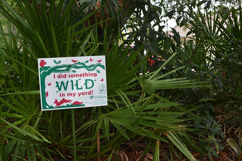 It'     s a wild combination of plants, in a native sense.