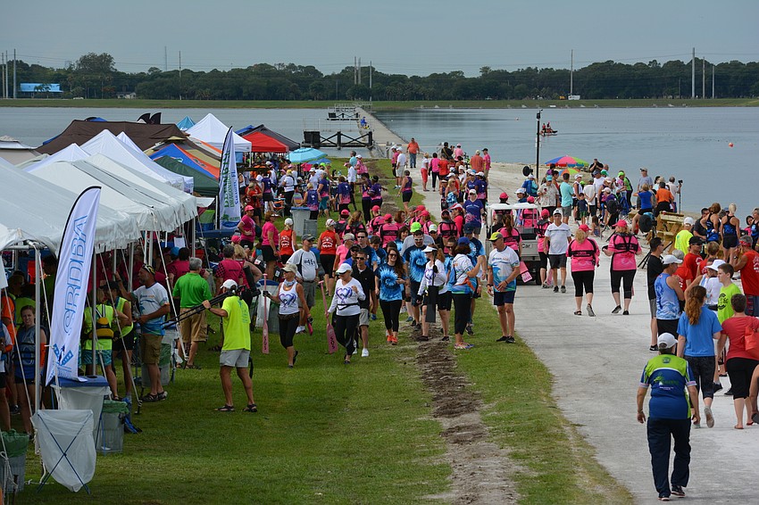 More than 750 padders from 30 teams around the nation competed at the Suncoast International Dragon Boat Festival.