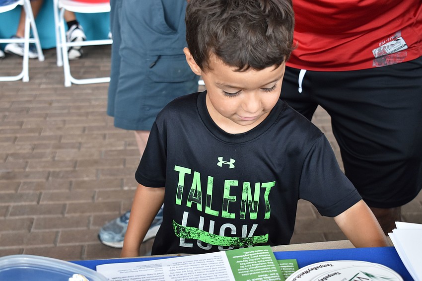 Miles Morales opens a drawer to find a sand dollar at World Oceans Day on June 3 at Mote Aquarium.