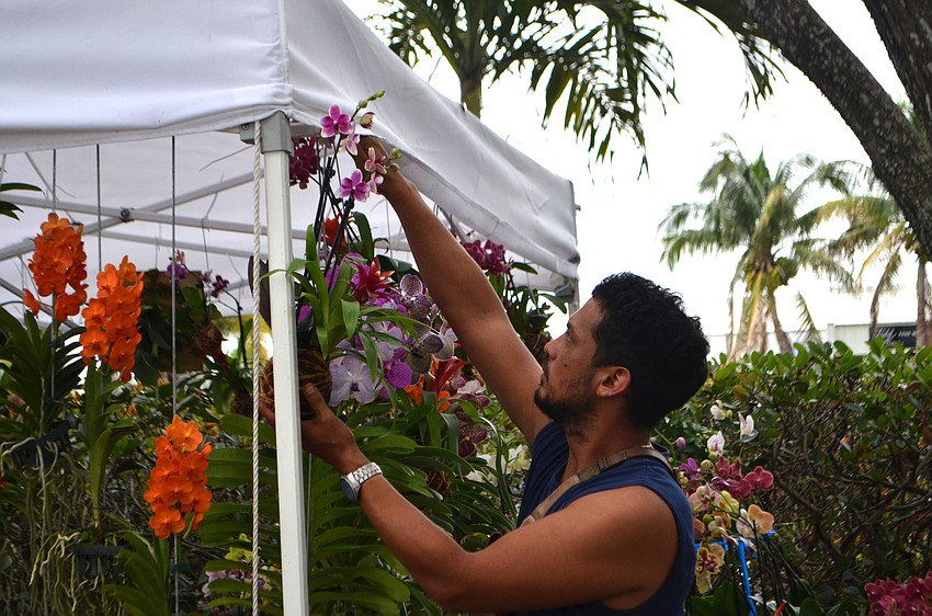 Craig Noriega of Majestic Foliage hangs a plant during the craft festival.