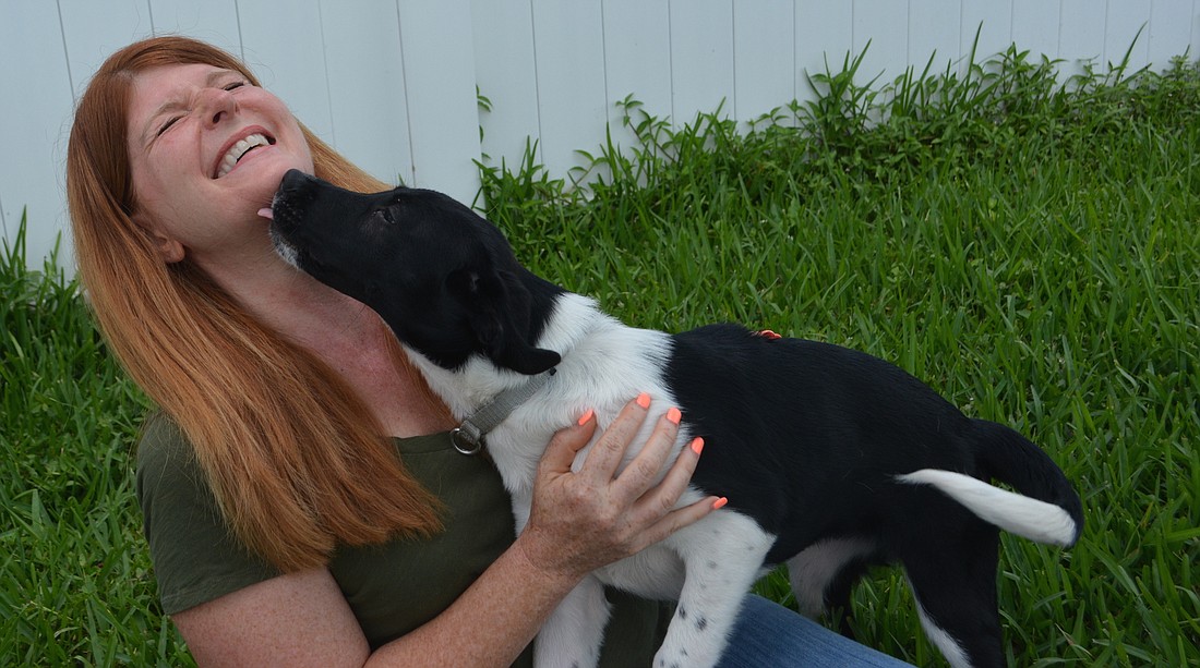 Karen Slomba gets a kiss from Truffles, a hound miix, at Nate&#39;s Honor Animal Rescue in Lakewood Ranch.