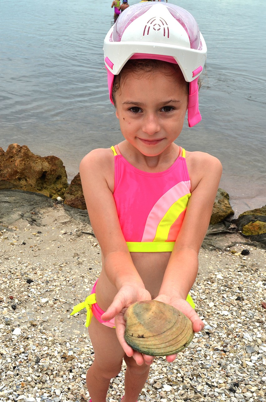 Nya Chambless shows off a clam shell she found in the New Pass Inlet.