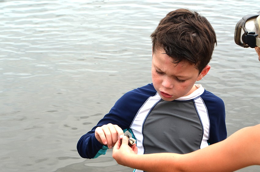 Ryan Dascenzl inspects a seashell another camper found.