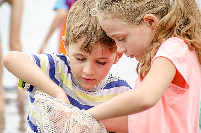 Quinn Robbins and Bella Robbins search their net.