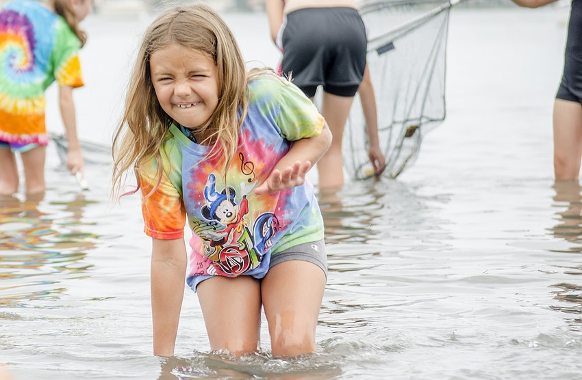 Alexandra Misantone drags her net along the bottom of Sarasota Bay looking for sea life.