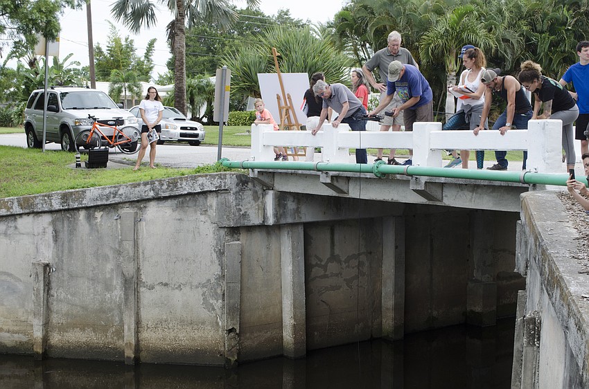 Residents in the area of Phillippi Creek are interested to see the fish released; they watch as Brennan measures the oxygen content of the creek.