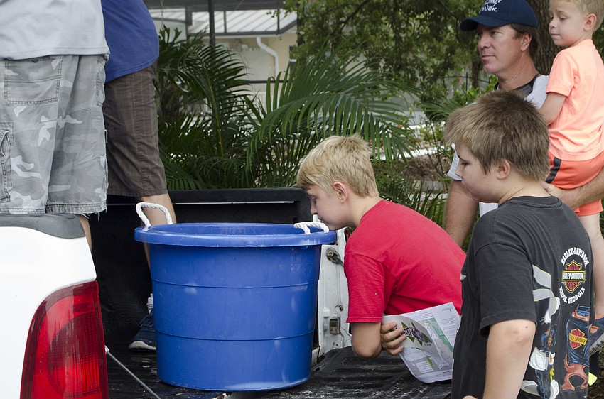 Children who live in the area get a peek at the snook before they are released.
