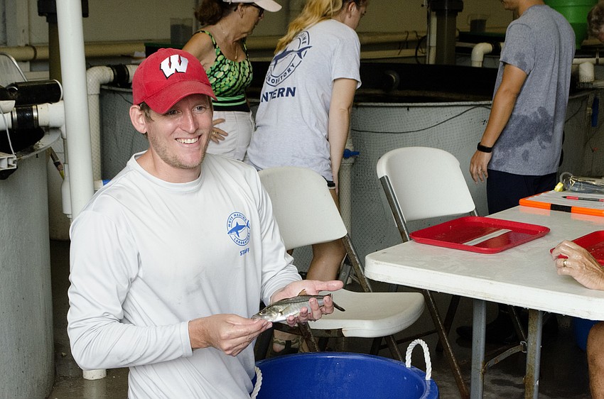 Dr. Ryan Schloesser handles the fish before they go to Phillippi Creek.