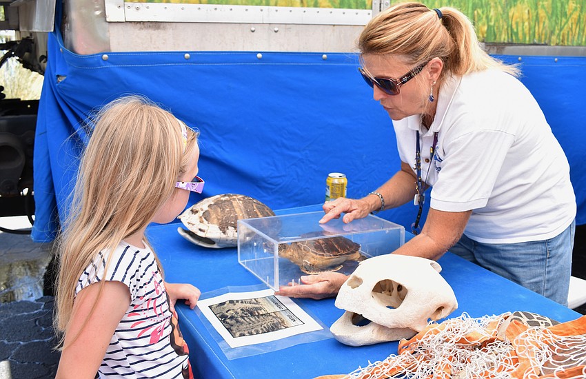Isabel Lennon learns about turtles from a Mote volunteer at Asolo Family Day on June 17 at the FSU Center for the Performing Arts.