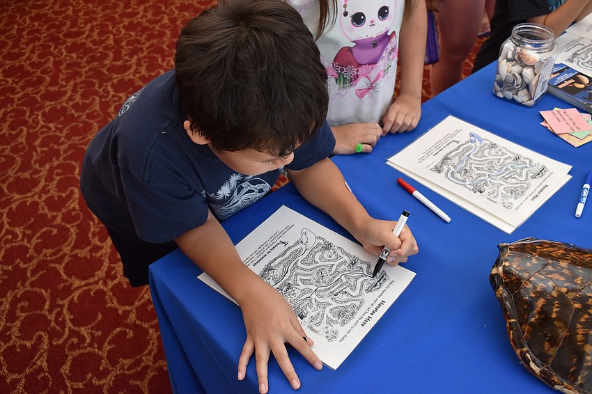 Peter Wovkonish works on a maze activity at the South Florida Museum table at Asolo Family Day on June 17 at the FSU Center for the Performing Arts.