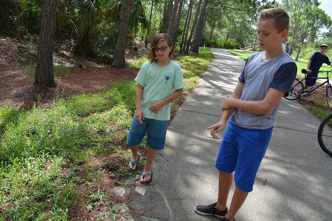 Ten-year-old Marina Redden, of Greenbrook, and 11-year-old Walker Speir, of Summerfield, were disgusted when they found two gopher tortoises purposely injured. One had died and the other they helped transport to a veterinarian.