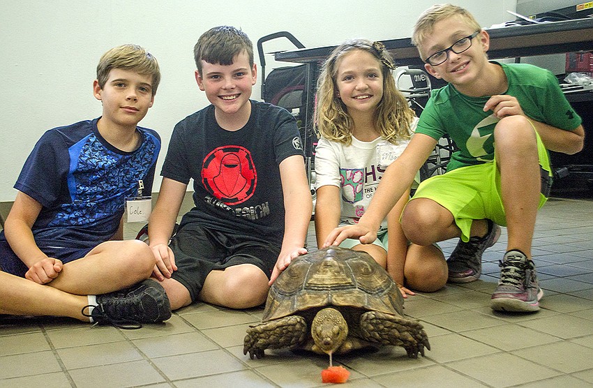 Cole Laudenslager, Nicholas Romig, Maggie Layman and Kayden Weiss pose for a photo with Charlie the tortoise.
