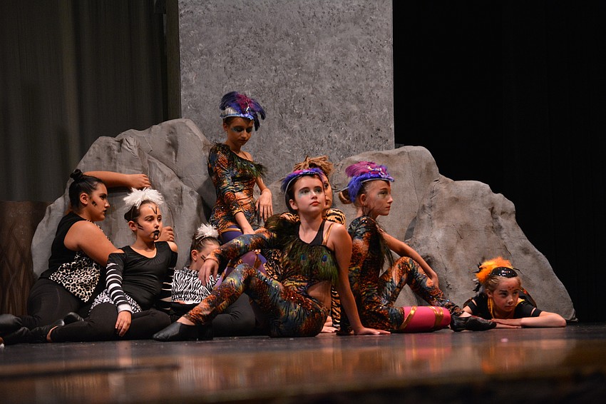 A herd of wildebeests rest before stampeding and killing the lion king.