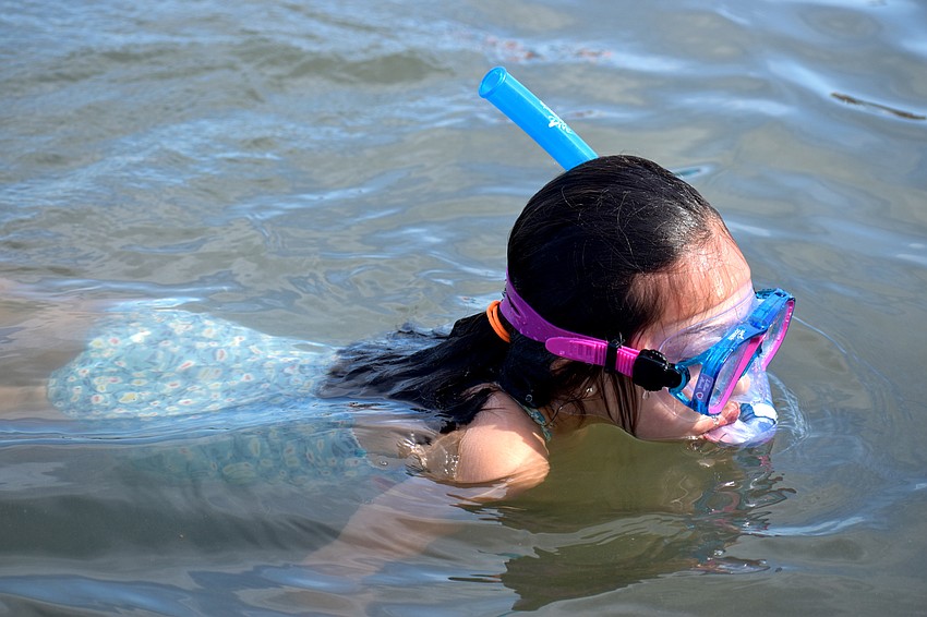 Lillian Hersh snorkels around New Pass Inlet during Mote’s Aqua Kids camp on June 30.