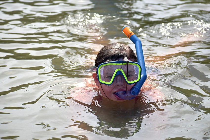 Clare Custer snorkels around New Pass Inlet June 30 during Mote’s Aqua Kids camp.