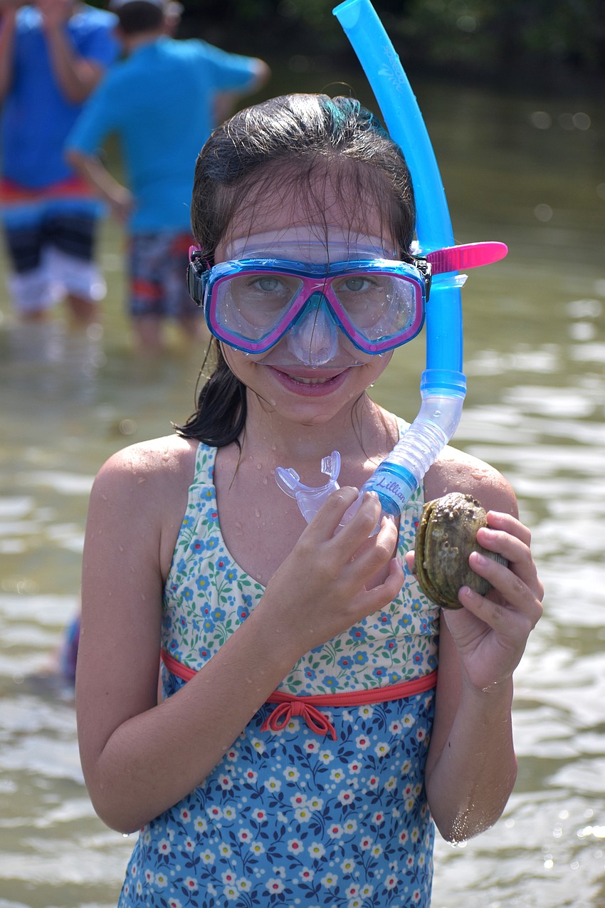 Lillian Hersh holds up the clam shell she found in New Pass Inlet.