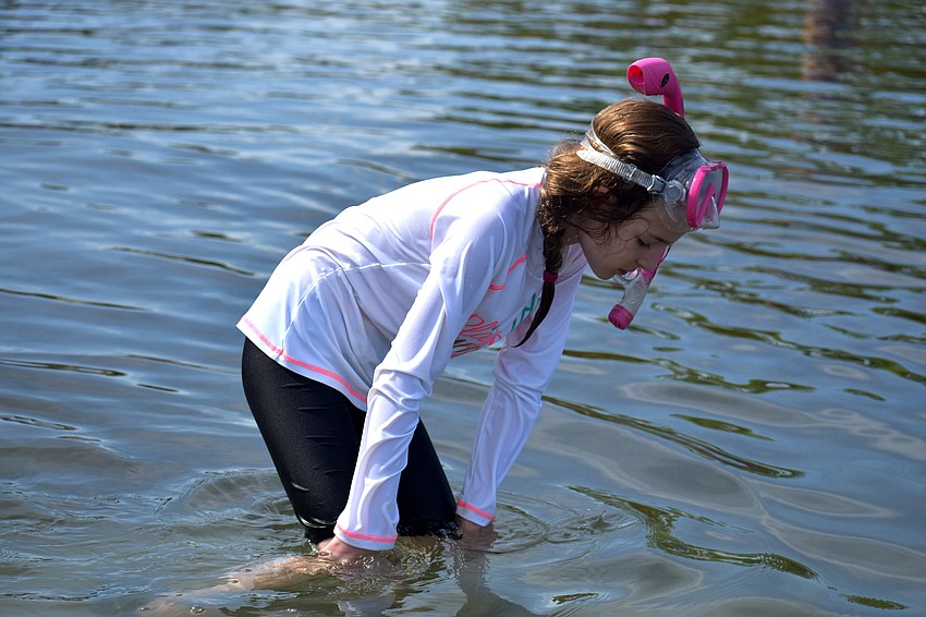 Eve Frajman search New Pass Inlet for marine life.