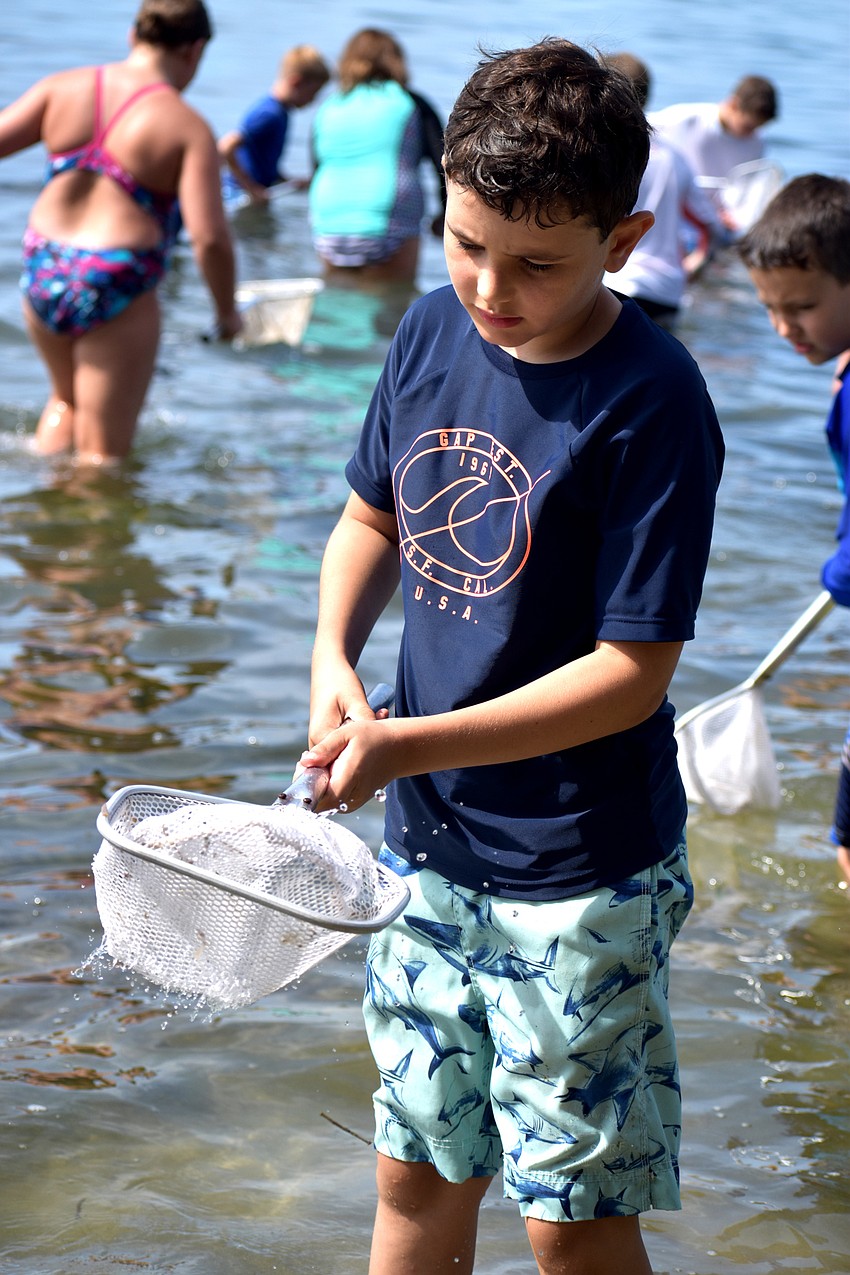 Leo Rose checks his net for marine life.