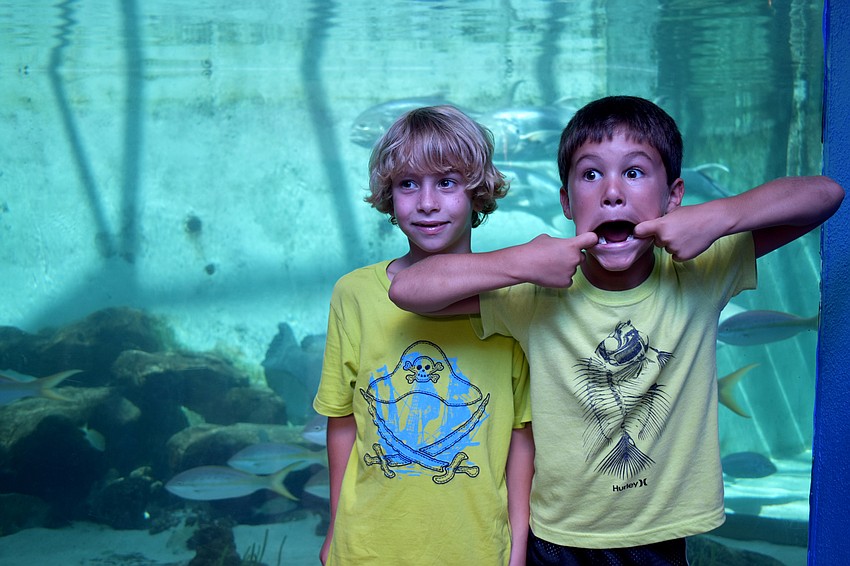 Ethan Cavalieri and Gavin Pritzkau