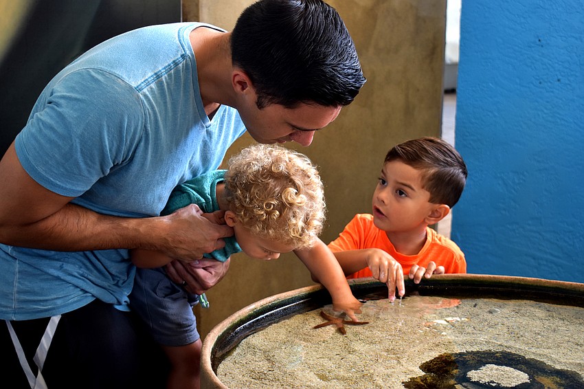 Abe and Austin Neuman explore one of Mote’s touch tank with their father, Andrew.