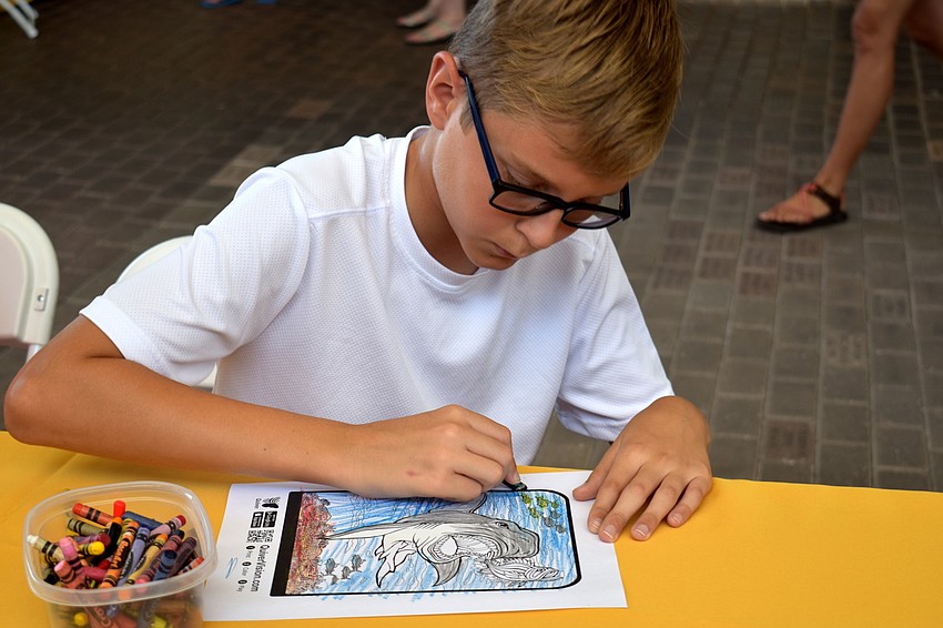 Nate Masden colors a shark page during Mote’s Fins and Fun Family Festival.