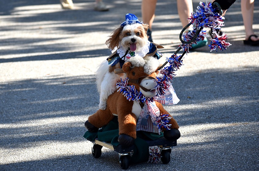 Royal rides his horse down Bay Isles Road.