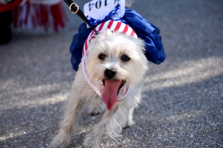 Ruby makes her way down Bay Isles Road.