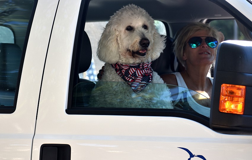 Grand Marshal David Miller’s dog, Gnarly, made a special appearance at the parade.