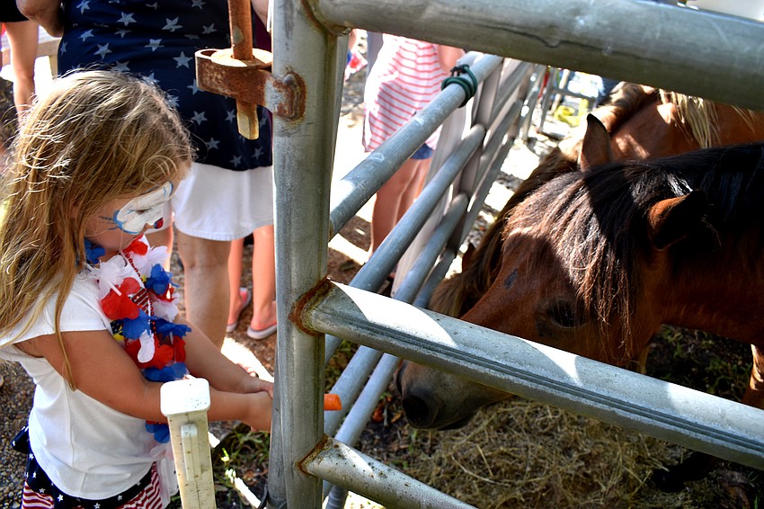Makenzie Wasniewski feeds a horse from Sixteen Hands Horse Sanctuary, Inc.