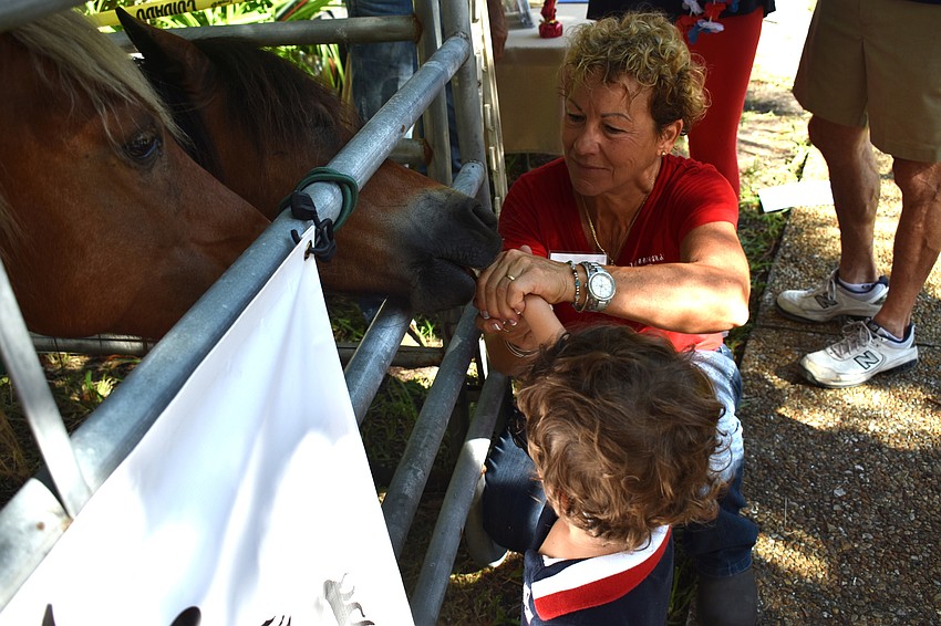 Gavin Ferrari feeds a horse Sixteen Hands Horse Sanctuary, Inc.