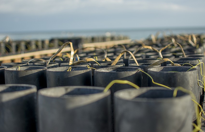 The show required over 2,000 fireworks shells.