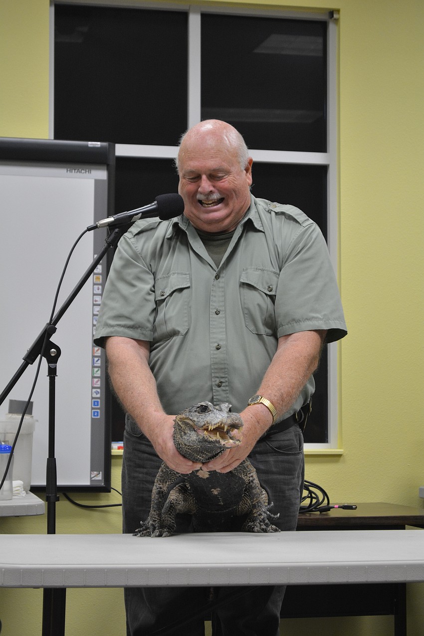 John Storms shows off his alligator who lost part of its tail to an infection.