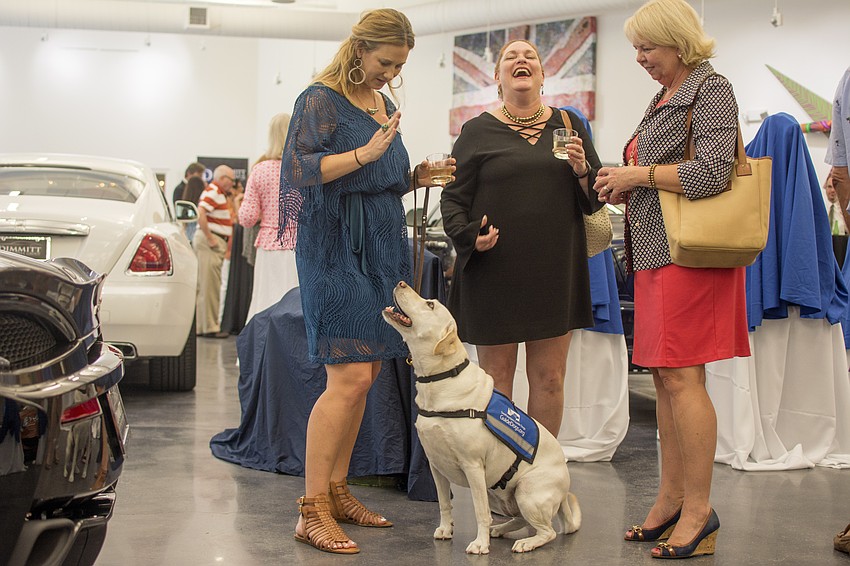Associate Director of Philanthropy Jennifer Groff, Page Robinson and Tish Scott-Murphy admire ambassador dog Shell.