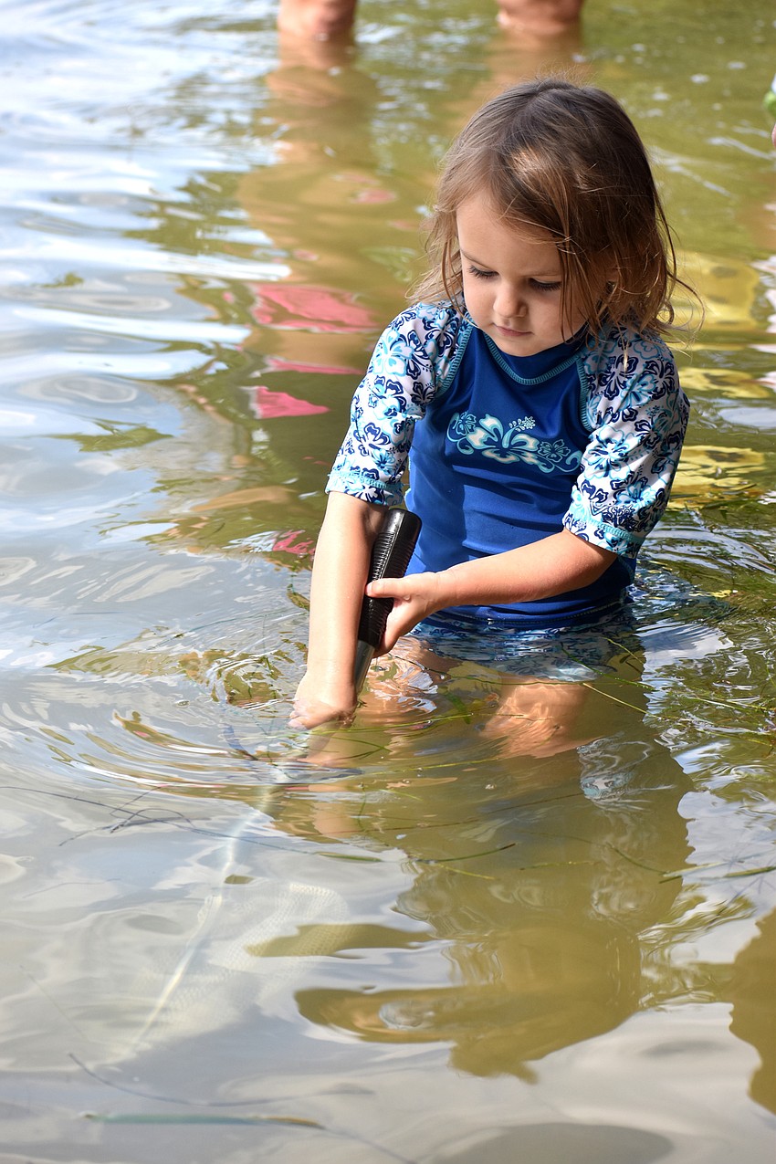 Lydia Heap skims the water for marine life.