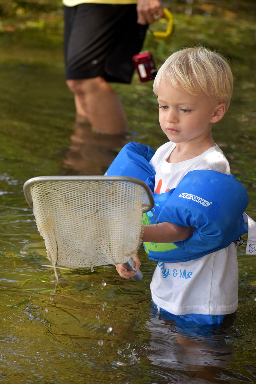Luke Plummer checks his net for marine life.