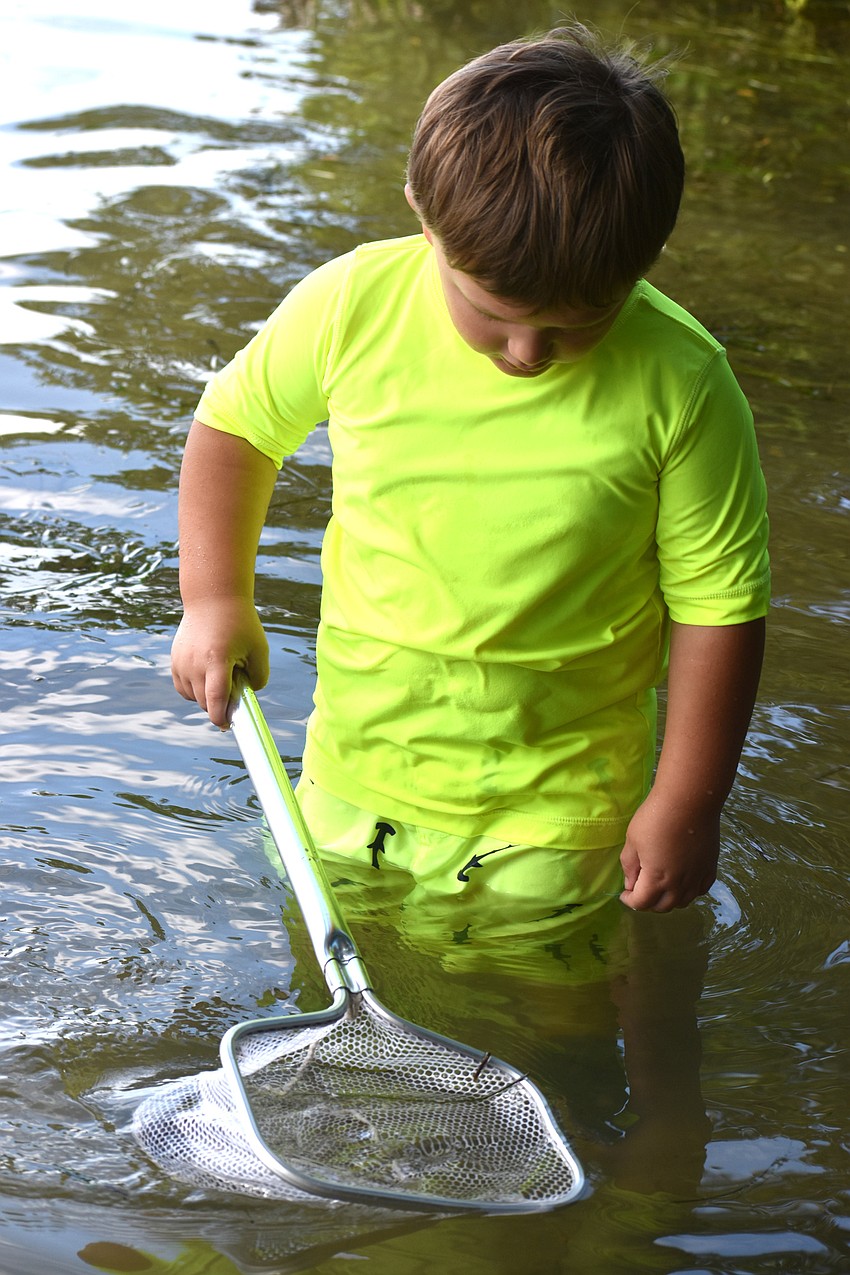 Garrett McLeod skims the water for marine life.