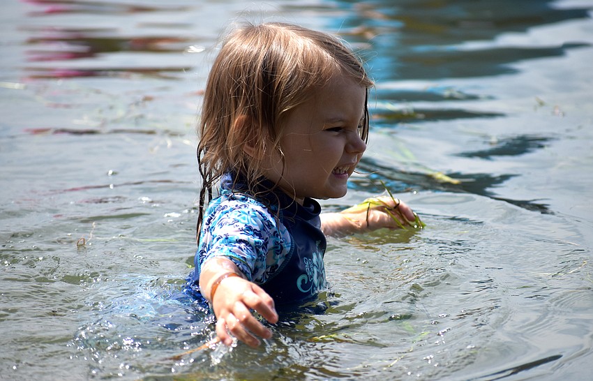 Lydia Heap splashes around the Bay during Mote’s Mommy and Me camp.