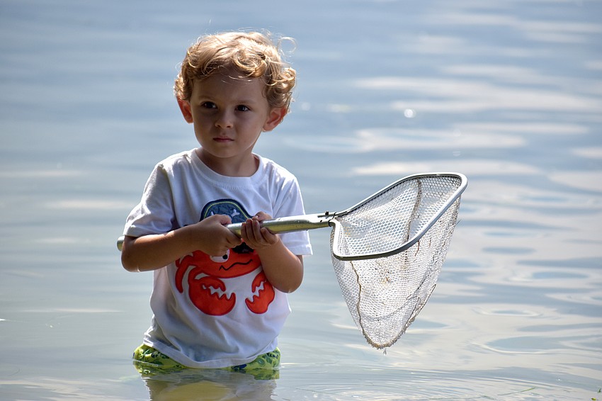 Beau Sanson wades through the water during Mote’s Mommy and Me camp.