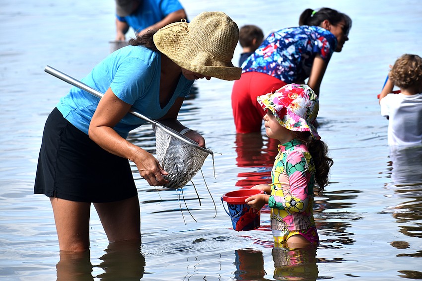 Lisa and Ellie Otte check their net for marine life.