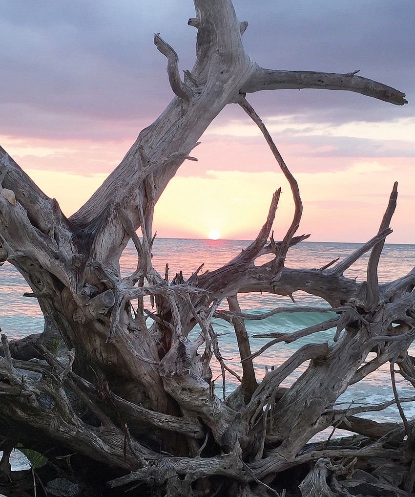 June winner: JoAnn Schwencke photographed this sunset and driftwood at Beer Can Island.