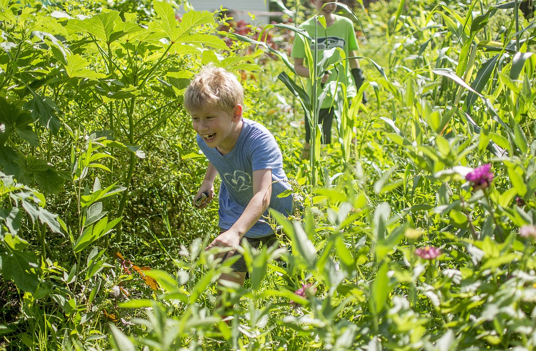 Zachary Kurnov runs through the garden at Hershorin Schiff Community Day School.