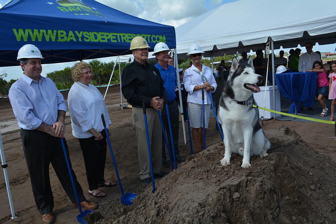Jedi, mascot for the day, sits atop a pile of dirt used for the groundbreaking ceremony for Bayside Pet Resort at Lakewood Ranch.
