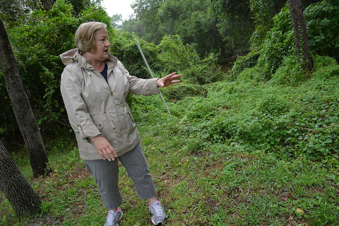 Paula Siegel points toward crevices that run between the river and her property line and indicate erosion from the Braden River. The there ground is giving way.