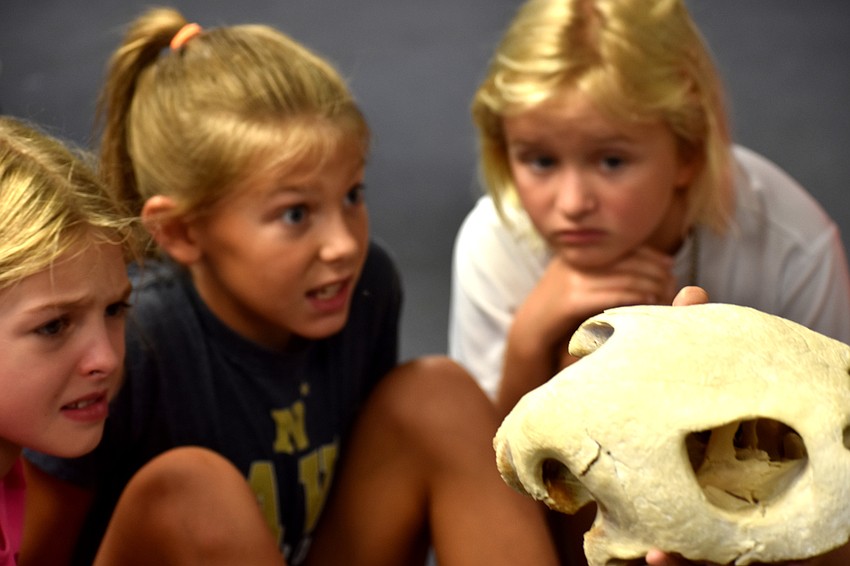 Faith McCue, Danica Aten and Marin Walters are surprised when their instructor shows them a turtle skull.