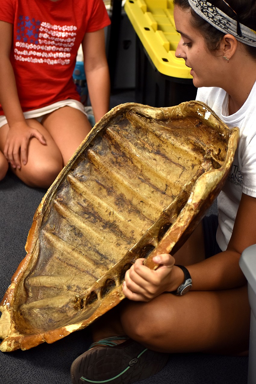 Camp instructor Kiley Gray shows the campers a loggerhead turtle shell.