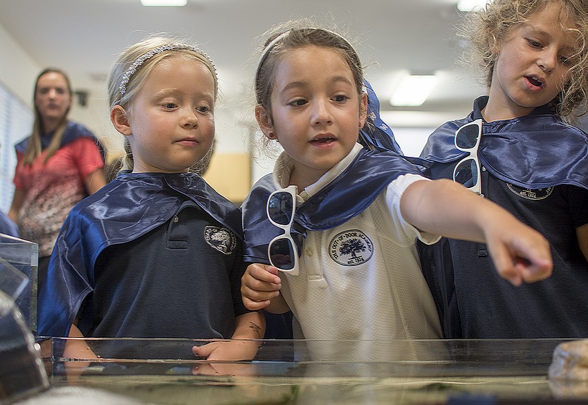 Jorja Lowe, Emi Briceno and Eve Arsenault get their first look at the touch tank in ODA's newly renovated marine science lab.