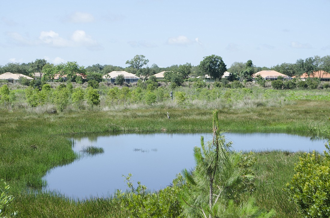 A proposed recycling plant outside the Celery Fields has united residents, bird-lovers and the environmentally minded against the planned facility.